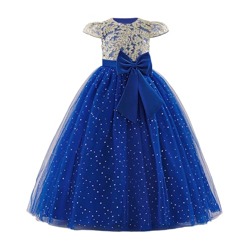 Robe de fête pour fille brodée avec tutu et son nœud élégant