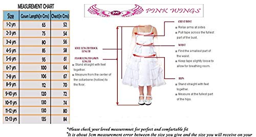 Image of PINK WINGS Baby Girl Tutu Dress, First Birthday Balloon Dress