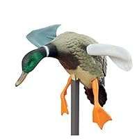 Amazon.co.jp: 鴨 デコイ 動物モデル 狩猟餌 現実的 置物 インテリア