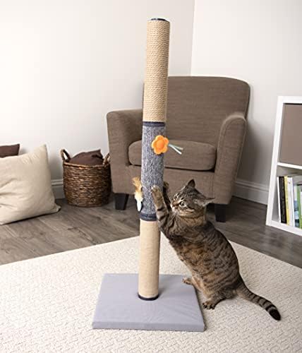 smarty cat scratching post