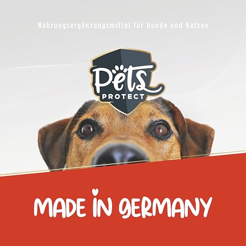 Pets Protect Kreatin Monohydrat Pulver Hunde - Futterergänzung Sporthunde & Wettkampfhunde mit Magnesium - Nährstoffmangel Hund ausgleichen - Futtermittel Sporthunde Nahrungsergänzung - geprüft