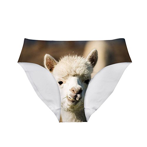 Funny Women Underwear