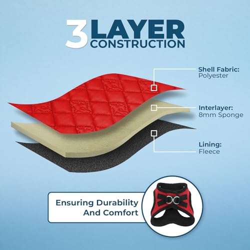 Image of Best Pet Supplies Step-in Dog Harness - Soft, Reflective, 5 ft Leash Combo with Neoprene Handle for Small & Medium Dogs - Red Plush, XS