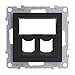 Produktbild LEGRAND, SEANO 2-fach Systimax-Adapter zum Einschnappen von Systimax Datendosen, Farbe: Schwarz lackiert, 765364