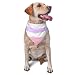 Pomosexual Pride Triangle Dog Bandana Scarf Accessories for Pet Bibs