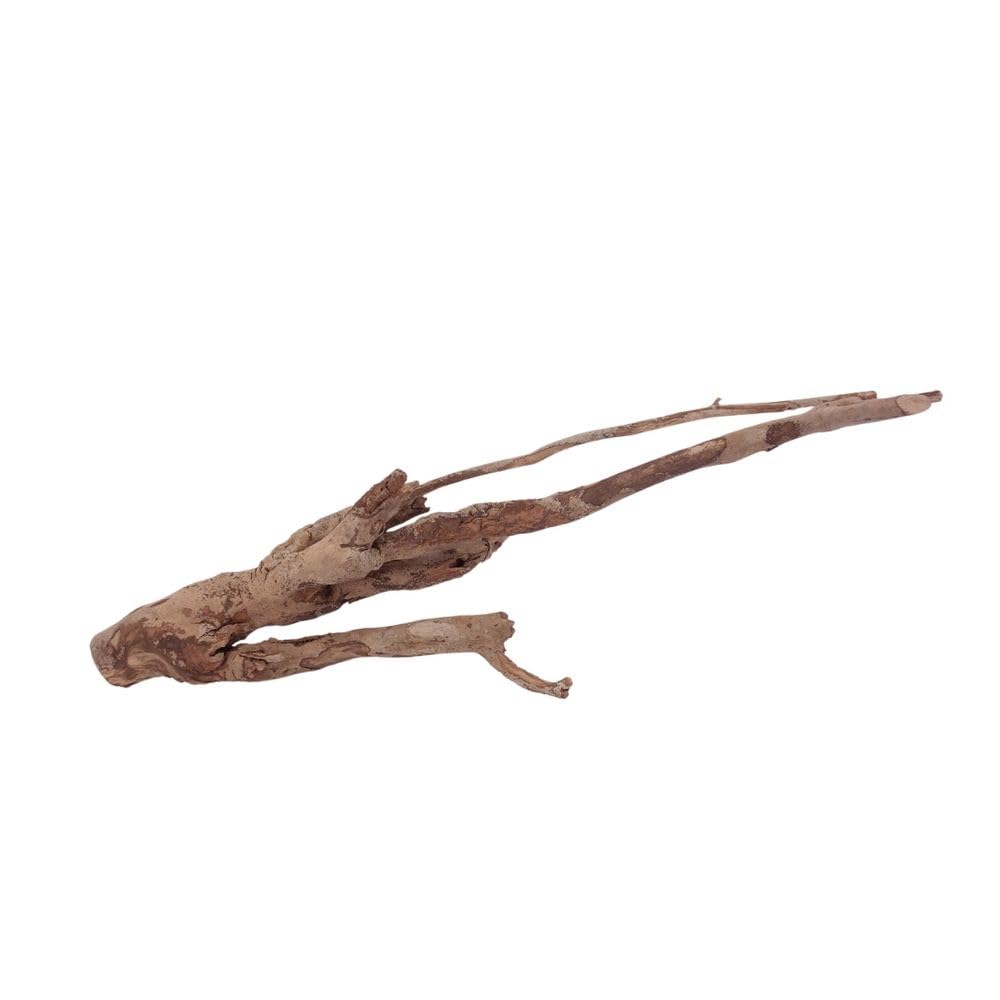 Racine de talawa XL n° 1407 décor bois naturel moorkwood pour paysage aquarium