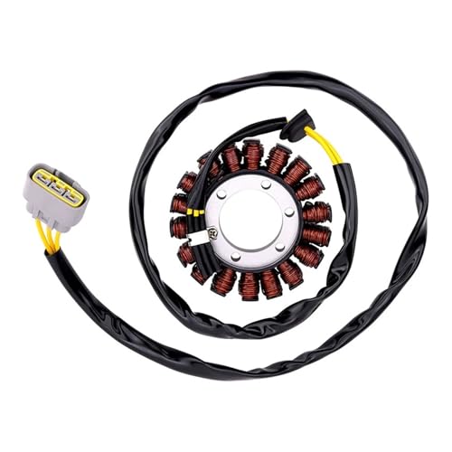 Bobine d'allumage stator moto BMW M1000R S1000RR S1000R Road Passion