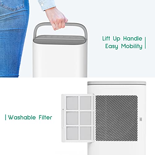 Basement Dehumidifier Afloia 500 Sq. Ft Desiccant Dehumidifier with Drain Hose X3 for Medium/Large Room, Washable Filter, Low Temperature Work, Not Frosted, Quiet Humidity Control, 15-Pint Water Tank