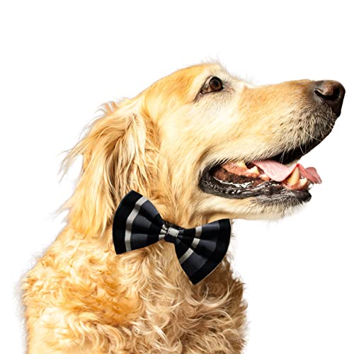 Ruse Pet Dog and Cat Bow Tie Steel Black Printed Easy to Use Anti Chafing Elastic Strap Gift for Pets Dogs & Cats Scarf Tie/L-XL (B09RSZR13M) Amazon Price History, Amazon Price Tracker
