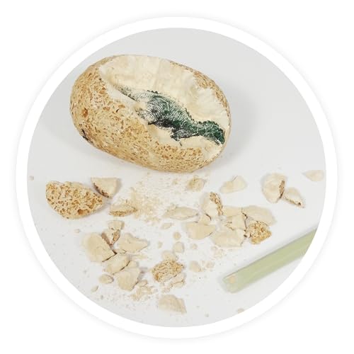 Buki Dinos Uf - vue 7