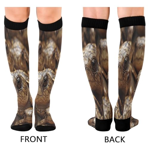 Real Turtle Desert Two Pairs Fun Socks Warm Soft Compression Socks Wear Resisting Easy To Stretch Running Socks2