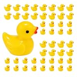 BOKTUO 80Pieces Canards Miniatures,Mini Figurine, Petit Canard a Cacher, Aquarium Jardin Paysage, Maisons De Poupée