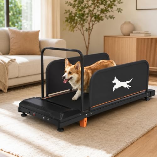 Quiet Indoor Exercise Machine for Small Dogs