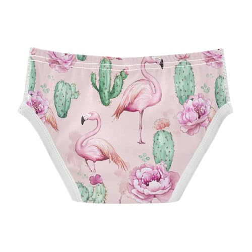Wusikd Flamingos Cactus Boys' Underwear Cotton Pink Watercolor Boys Briefs Soft Toddler Underwear 2T2