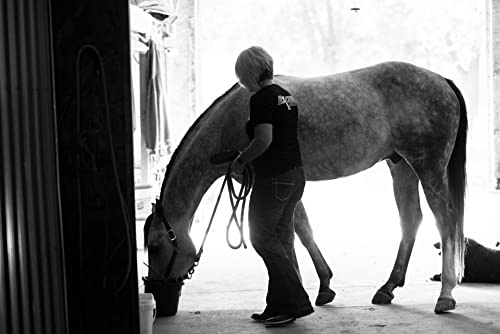 Mega-Cell (10lb) Balanced Vitamin & Mineral Support for Horses - Thumbnail 3