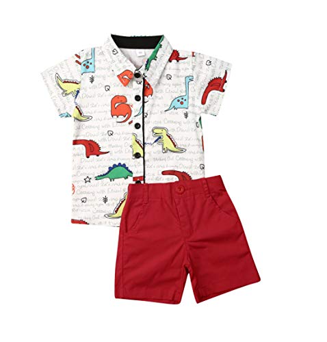 Toddler Baby Boys Print Outfit Set 2PCS Short Sleeve Button Down Shirts Tops and Shorts Toddler Boys Summer Clothes Set (1-2T, I)