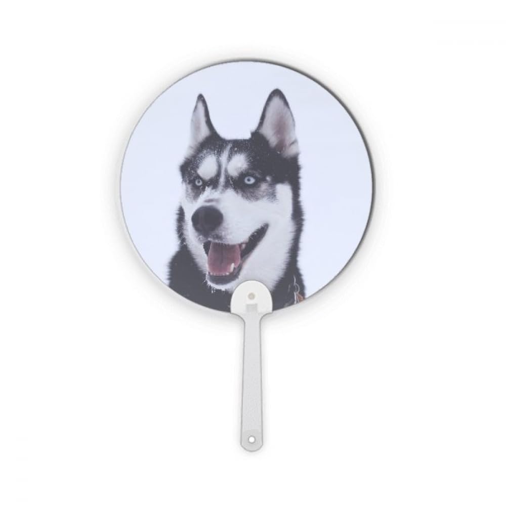 Éventail rond en plastique anti coup de chaleur Grand chien Snow