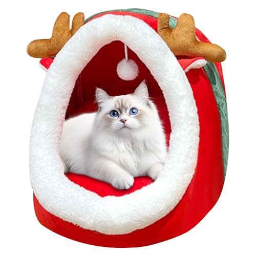 NX}XLxbhA\tgLbgnEX,Christmas Cat Cave 􂦂锼^Lxbh | NX}XLbgPCuO\ȔLp\t@A~߁A^Lp̉Kȃybgpi