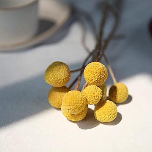 Miniatura 6 de NHUNPPGR - Ramo de ramas de bola de oro eternas de flores secas naturales, decoración de habitación estética nórdica, arreglo floral, accesorios