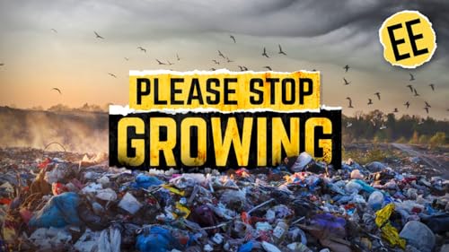 Is Degrowth the Only Answer?