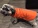 PETCEE Waterproof Dog Winter Jacket, Dog Winter Coat Windproof Warm Winter Dog Jacket for Large Dog Pet Jacket for Cold Weather - 2 Layer (Orange L)