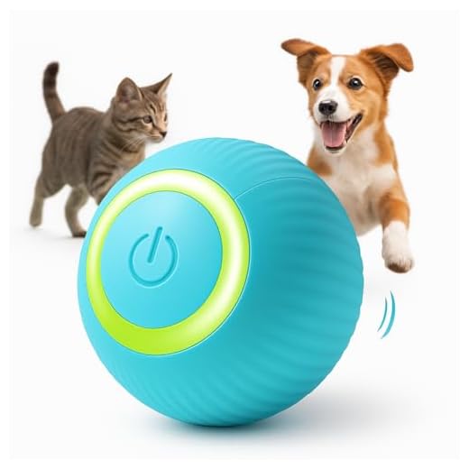 Bolinha Pet Inteligente Interativa Brinquedo para Gatos e Cachorros Movimento Automático Usb Elétrica Rotação 360° LED Bola Pet - Premium Azul