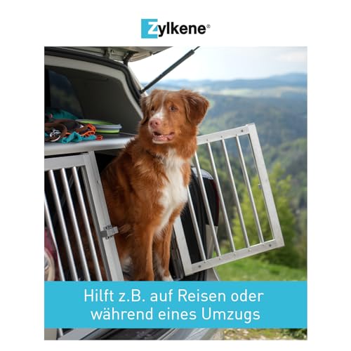 Vetoquinol Zylkene 225 mg | 50 Kapseln | Ergänzungsfuttermittel für Hunde | Zur Unterstützung in ungewohnten Situationen | Mit Trypsin-hydrolysiertem Rinder-Kasein
