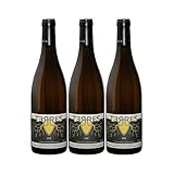Saumur Terres - Cuvée en Amphore - Blanc 2019 - Domaine des Roches Neuves - Vin Blanc du Val de Loire (3x75cl) BIO