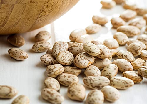 image for Food to Live Pinto Beans, 10 Pounds Dried, Sproutable, Vegan, Kosher, 