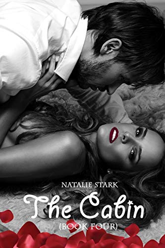 The Cabin (Book Four): Megan's Story (The Cabin Series)