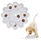 Intellektuelle Entwicklung -- Setzen Sie Essen in ein Puzzle-Spielzeug, und der Hund bekommt seine FutterBelohnung mit Tricks und Tricks