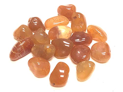 Zentron Crystal Collection: Tumbled Natural Carnelian Stones -1" Smooth Pieces (1/2 Pound) #TOP2