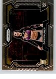 2024 Panini Prizm #68 Dani Palmer NXT RC Rookie Card Official WWE Trading Card in Raw (NM or Better) Condition