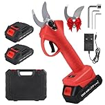 Electric Pruning Shears, 30mm Cutting Diameter Cordless Electric Scissors with 2x2000mAh Rechargeable Batteries, Tree Pruner Branch Cutter, Portable Battery Secateurs for Garden Pruning Branches (01)