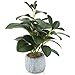 Juvale Artificial Plant with Grey Cement Planter Pot (3.1 x 3.1 x 11.8 Inches)