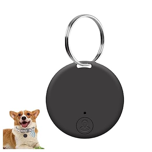 rastreamento GPS - Localizador chave portátil com lembrete alarme | Dispositivo anti-perda móvel redondo e inteligente com rastreamento em tempo real para gatos, Iscork