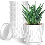 GDJUQZ 6 Pack 6 Inch Indoor Plant Pots with Drainage Holes, Outdoor Plastic Decorative Flower Pots, Garden Planters with Tray Saucers for Orchids, Violets, Succulents, Herbs, and Other Plants