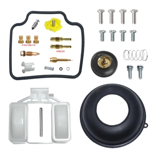 Kit réparation carburateur SLR 650 flotteur gicleur ralenti 62 65 pointeau F130