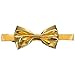 Gary Majdell Sport Men's Boxed Liquid Metallic Gold Banded Bow Tie (Gold)