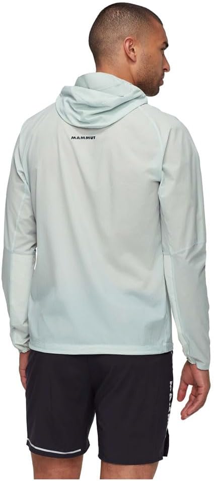 Mammut Aenergy WB Hooded Jacket - Men's, Silver Sage, XL
