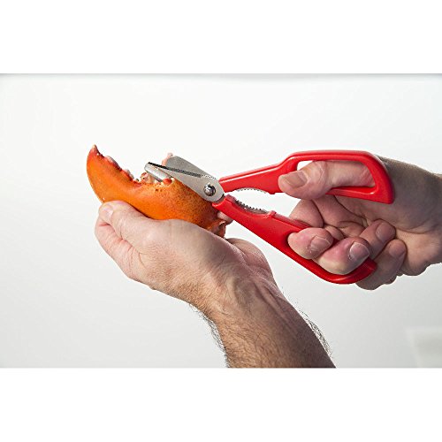 Tesoura Para Frutos do Mar Desmontável Fackelmann Vermelho