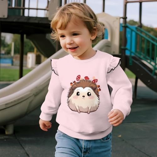 Toddler Sweatshirt Kids Clothes Girls Sweatshirts Long Sleeve Shirts Ruffle Outfits for Outdoor3