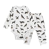 vvfelixl Baby Bodysuits Pants Sets Bernese Mountain Dog Long Sleeve Baby Clothes For Boys Girls 0-3 Months Puppy