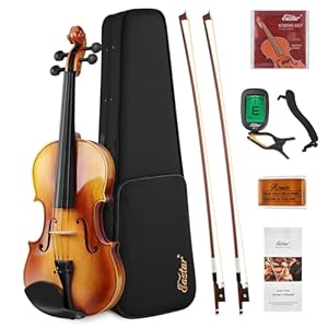 Eastar EVA-330 4/4 Violine Set