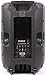 Edison Professional St-3000 Multi-Function Loud Speaker and PA System, Black ST3000