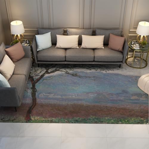 Tapis Monet lavables en machine avec support antidérapant : la douceur absolue à poils courts