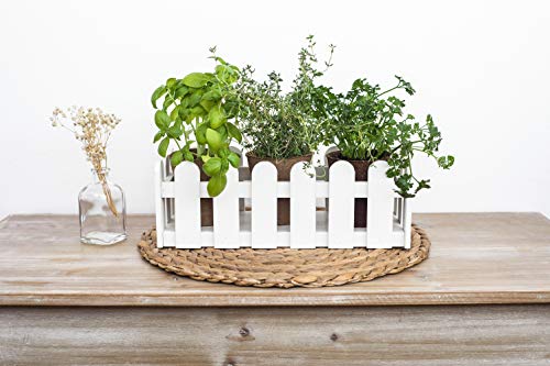 Uncle Ralph Jardinera de Madera. Kit de Cultivo huerto Interior de Hierbas aromáticas....