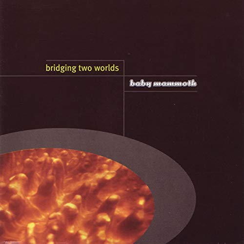 Bridging Two Worlds