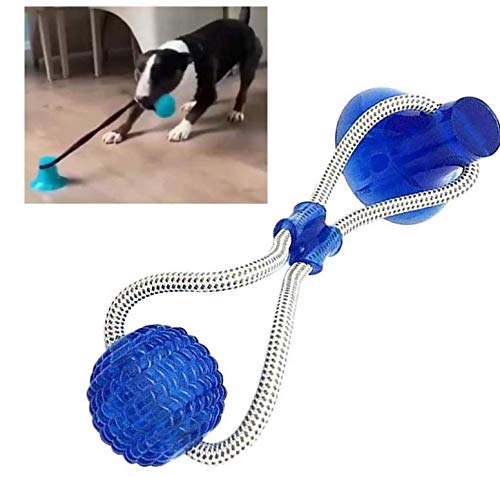 Pelota de Juguete para Mascotas: Diversión y Ejercicio en Uno para Tu Mejor Amigo