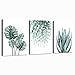 Green Canvas Wall Art for Living Room Bedroom, Monstera Shallow Green Leaf Tropical Succulent Plant Picture Canvas Prints,Modern Framed Minimalist Water Color Set of 3 Piece 12" X 16"